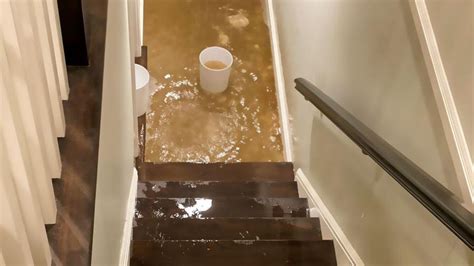 Average Basement Flooding Repair Costs In 2024 – Forbes Home