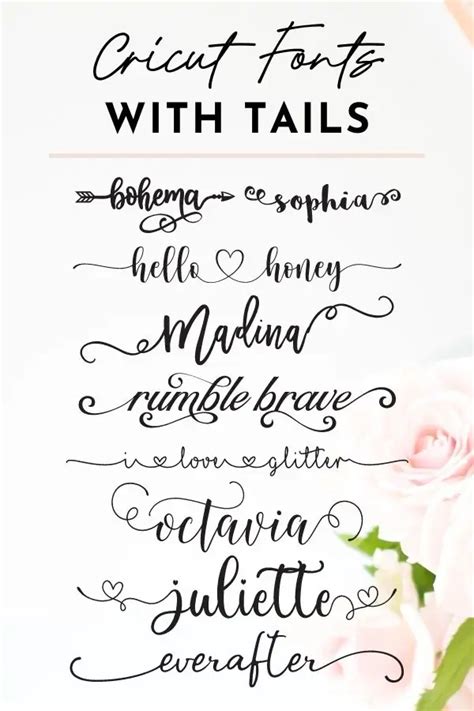 16 Best Fonts with Tails and Swashes (+ Free Cricut Picks!)