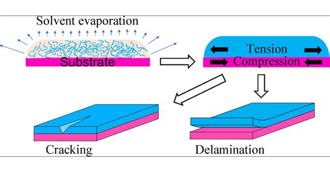 Solventborne Polymer Coatings: Drying, Film Formation, Stress Evolution ...