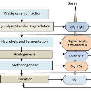 (PDF) Qualitative Study of Landfill Leachate from Different Ages of ...