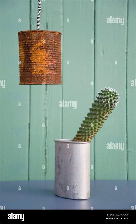 DIY lamp made from a rusty tin and cactus in a tin Stock Photo - Alamy