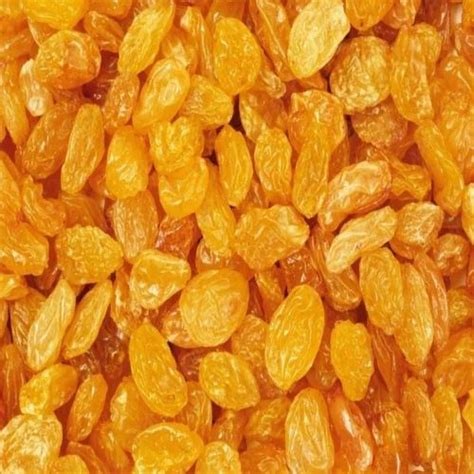 Seedless Golden Raisin at Rs 185/kg | Seedless Black Raisins in Tasgaon ...