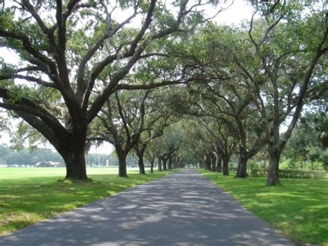 Bay Pines National Cemetery in Bay Pines, Florida - Find a Grave Cemetery