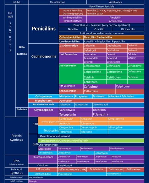 imgur.com | Pharmacology nursing, Medicine student, Antibiotics ...