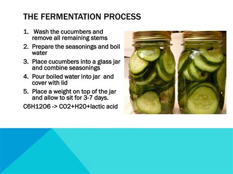 PPT - Pickle Fermentation PowerPoint Presentation, free download - ID ...