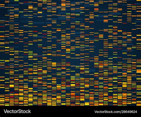 Genomic visualization dna genomes sequencing data Vector Image