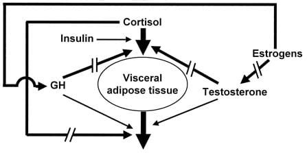 BioSignature review: Are hormones the key to weight loss?