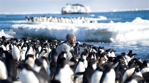 'Our Planet: Behind the Scenes' Documentary Arrives on Netflix - What's ...