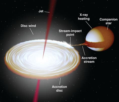 Stellar-Mass Black Holes and Ultraluminous X-ray Sources | Science