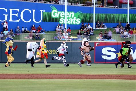 El Paso Mascots celebrate Chico’s birthday at the ball park – The ...