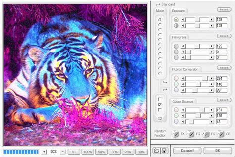 80+ Best Photoshop Filters and Plugins for Creative Effects | Skylum Blog