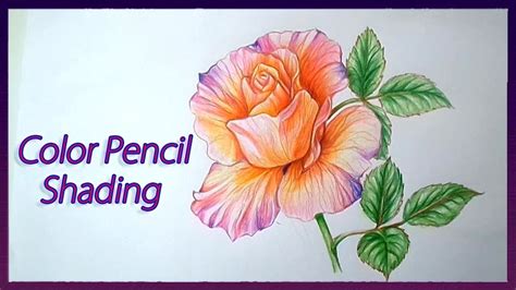 Realistic Color Pencil Shading Tutorial of Rose (With images ...