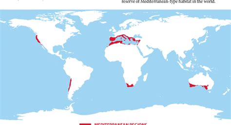 Mediterranean forests, woodlands, and scru...- Mind Map