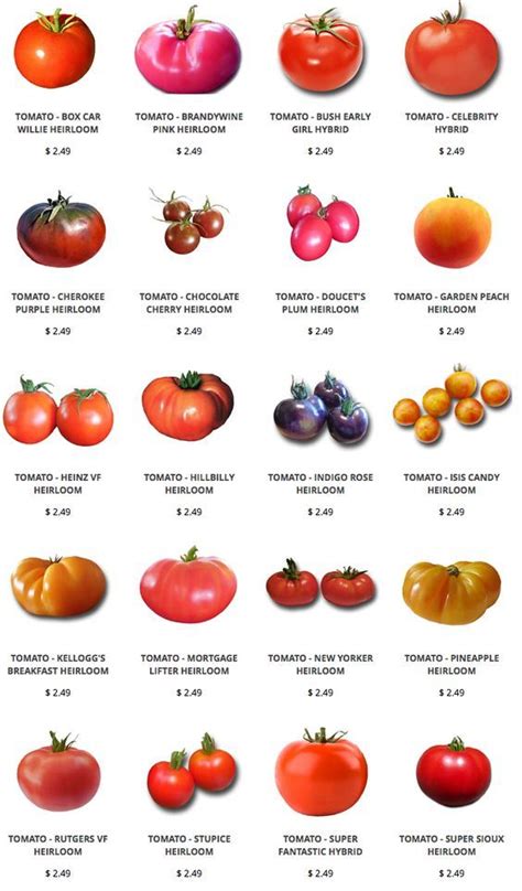 Heirloom Tomato seeds | Heirloom tomato seeds, Growing organic tomatoes ...