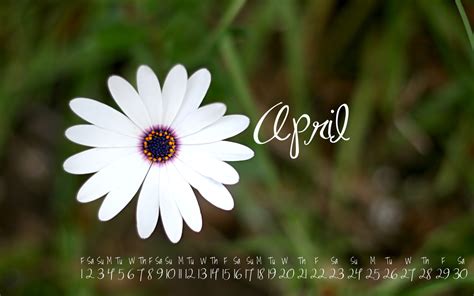 🔥 [47+] April Wallpapers | WallpaperSafari