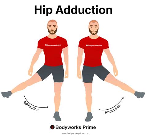 Hip Adduction