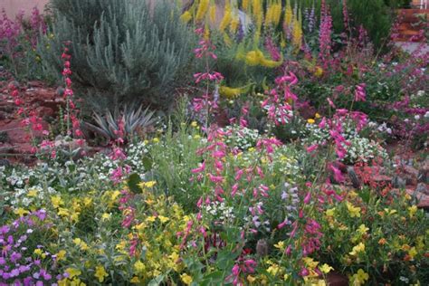 How To Start Gardening High Country - Colorado Springs Real ...