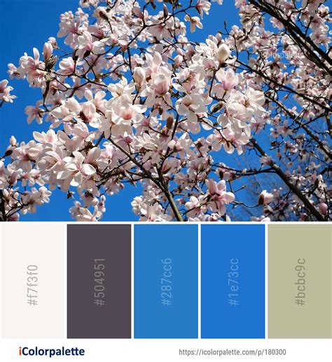 Color Palette Ideas from Blue Flower Plant Image | iColorpalette