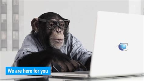 Don't Have Time for Monkey Business? Hire Us. - YouTube