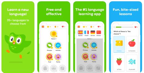 Creating a Language Learning App Like Duolingo | Aimprosoft