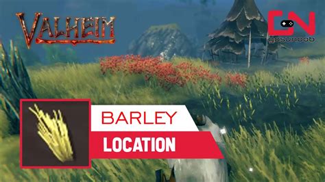 Valheim Barley Location - YouTube