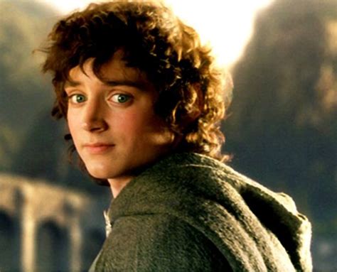 Frodo Baggins | The Hobbit LOTR Wiki | Fandom