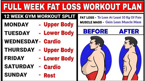 Full Week Workout Plan For Fat Loss | Body Transformation Fat To Fit ...