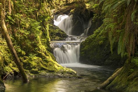 The Best Rain Forest Waterfalls on the Olympic Peninsula, WA