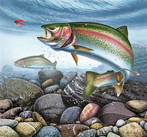 Perfect Drift Rainbow Trout Painting by JQ Licensing