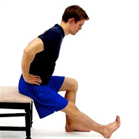 Sitting exercises for lower back pain | Revive Physio Therapy and Pilates