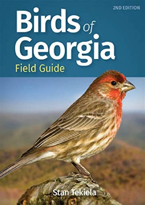 Birds-of-Georgia-Field-Guide-Bird-Identification-Guides