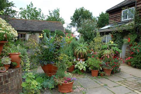 Fabulous courtyard garden ! Courtyard Garden, Garden Plants, Courtyard ...