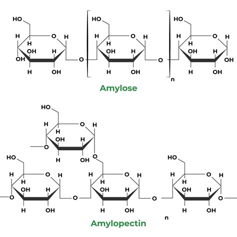 Structural Formula Of Amylose