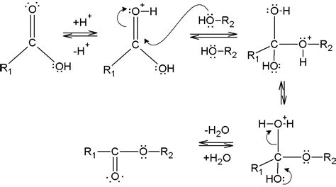 Peptide Bond vs Ester Bond: Comparative Analysis And Facts – Lambda Geeks