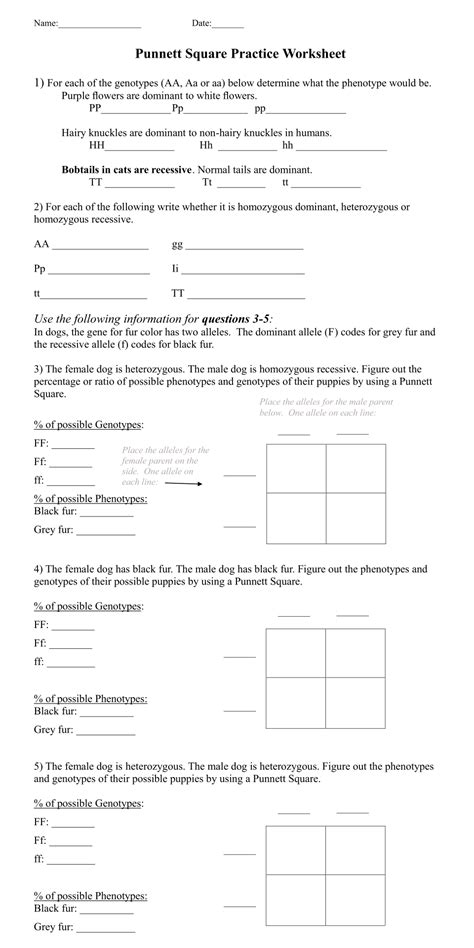 Punnett Square Practice Worksheet Answers – Imsyaf.com