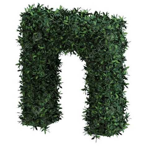 Boxwood Hedge Arch, Boxwood Hedge, Door Decoration, Arch PNG ...