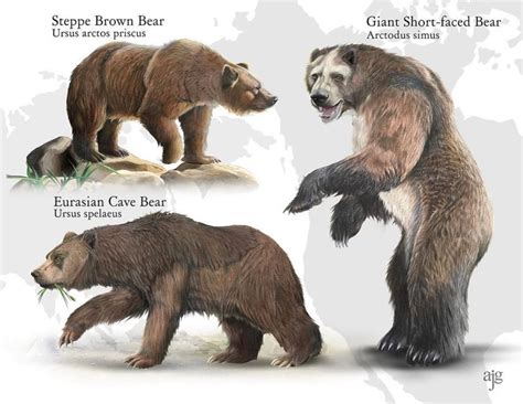 L'ours à face courte (Arctodus simus) était un énorme mammifère ...