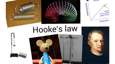 Hooke's law - IGCSE Physics - YouTube