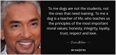 TOP 25 QUOTES BY CESAR MILLAN (of 127) | A-Z Quotes