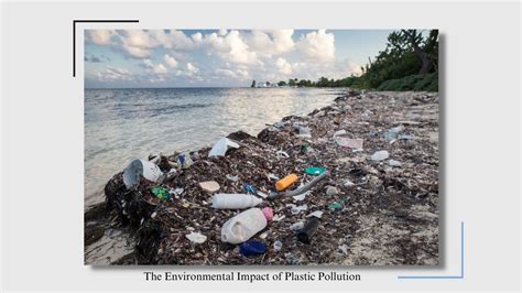 The Environmental Impact of Plastic Pollution