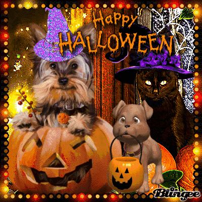 Halloween Yorkie Gif Pictures, Photos, and Images for Facebook, Tumblr ...