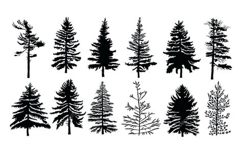 The best free Pine tree vector images. Download from 4444 free vectors ...