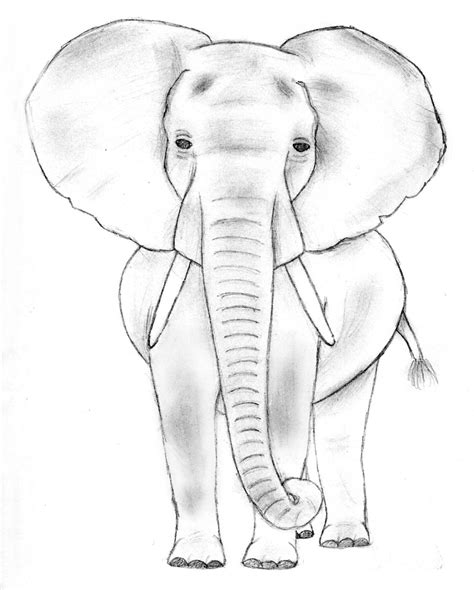 16+ Elephant Simple Drawing Pictures - Shiyuyem