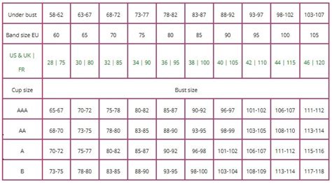 Bra Size Chart Measurements