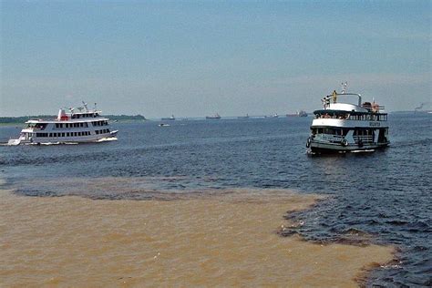 Manaus, Brazil: Unlikely Heart Of The Amazon | SA Vacations