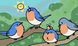 Bird Chirping GIF - Bird Chirping Singing - Discover & Share GIFs