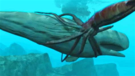 28 interesting facts about Giant Squids - Factins