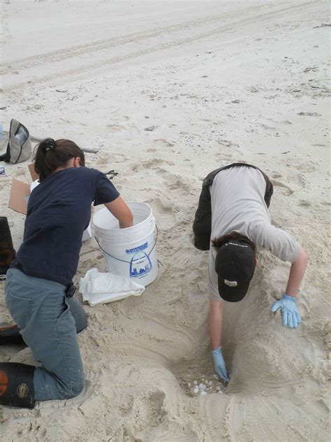 Free picture: digging, holes, sand, beach