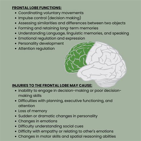 Frontal Lobe Functions - Life After Stroke - American Stroke Foundation