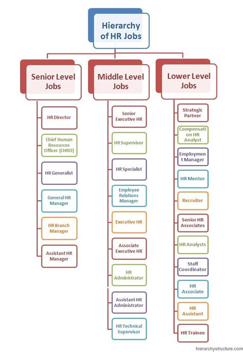 The Hierarchy of HR Job Levels.These are the dedicated professionals ...